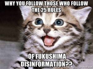 25 rules of disinformation